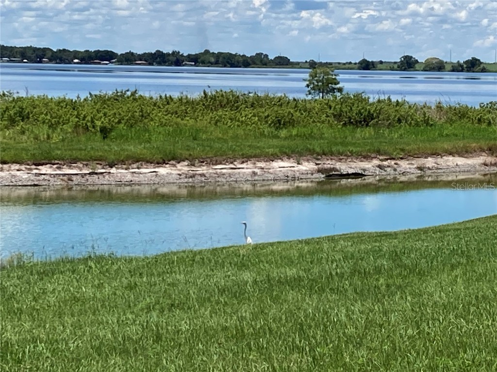 493 Adams View Lane Auburndale FL 33823 - 3 LAKES: ALFRED VAN MEDORA P4936539 image2