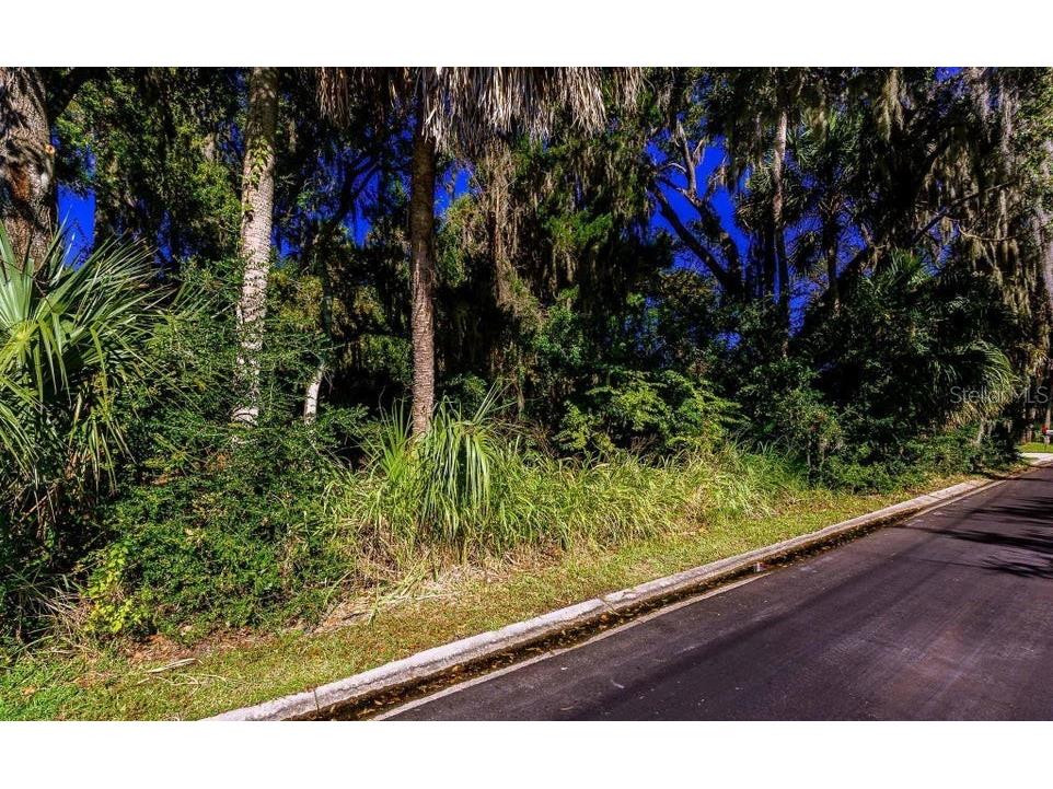 493 Hammock Lane Ormond Beach FL 32174 V4948815 image3