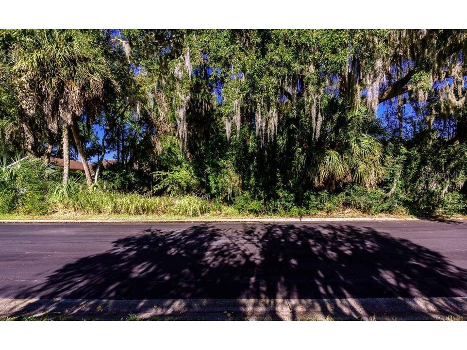 493 Hammock Lane Ormond Beach FL 32174 V4948815 image4