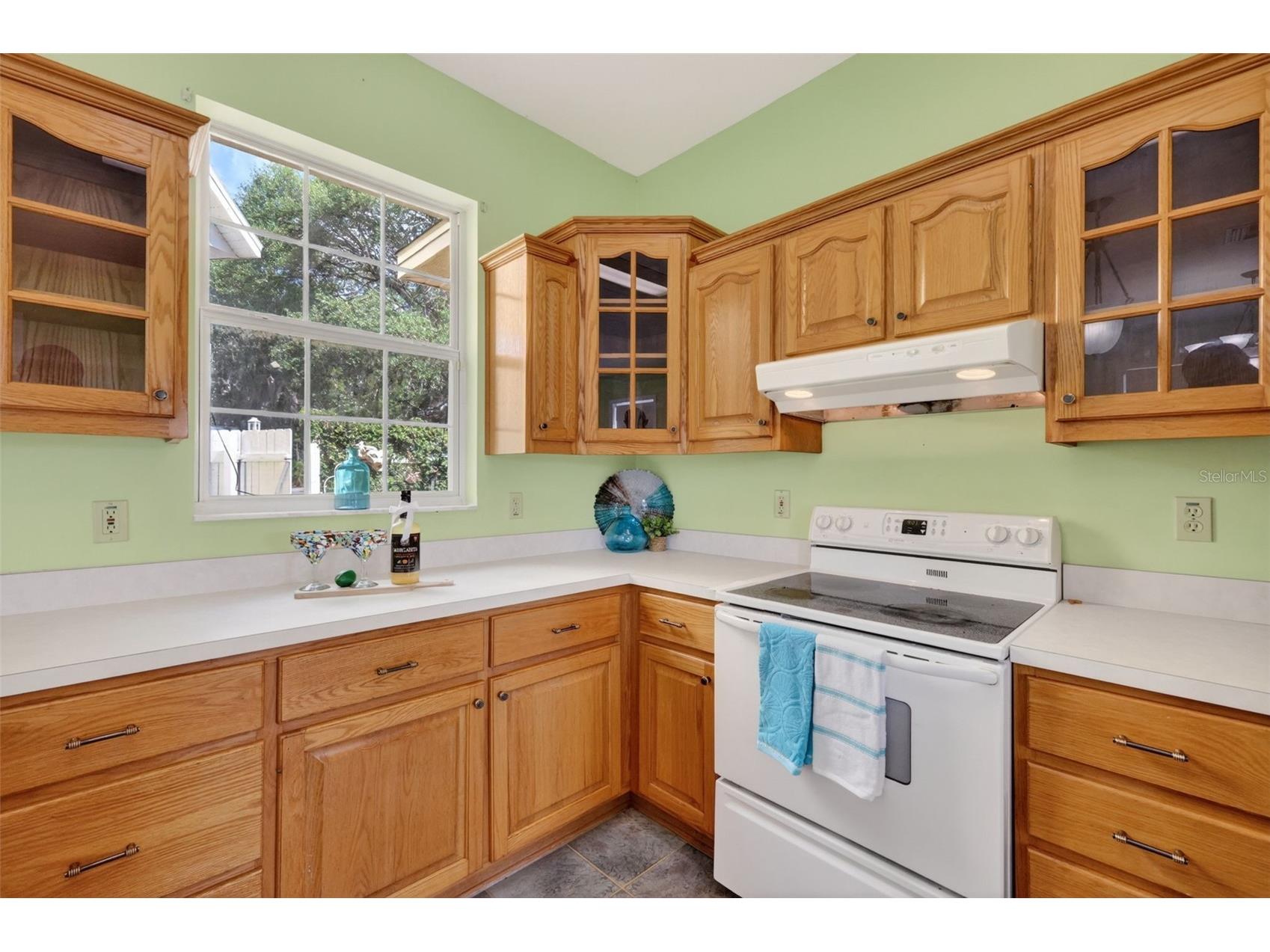 493 Malauka Loop Ocklawaha FL 32179 - LAKE LEON G5112490 image11