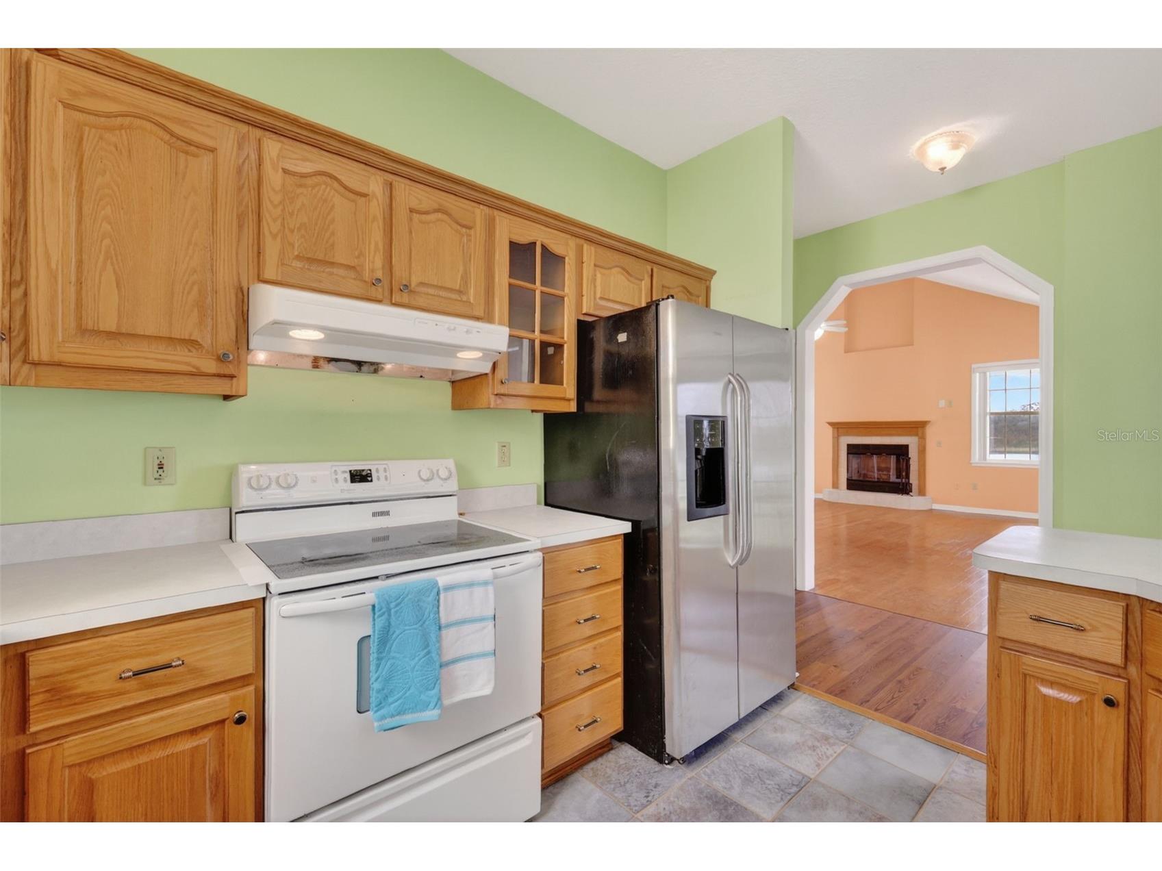 493 Malauka Loop Ocklawaha FL 32179 - LAKE LEON G5112490 image12