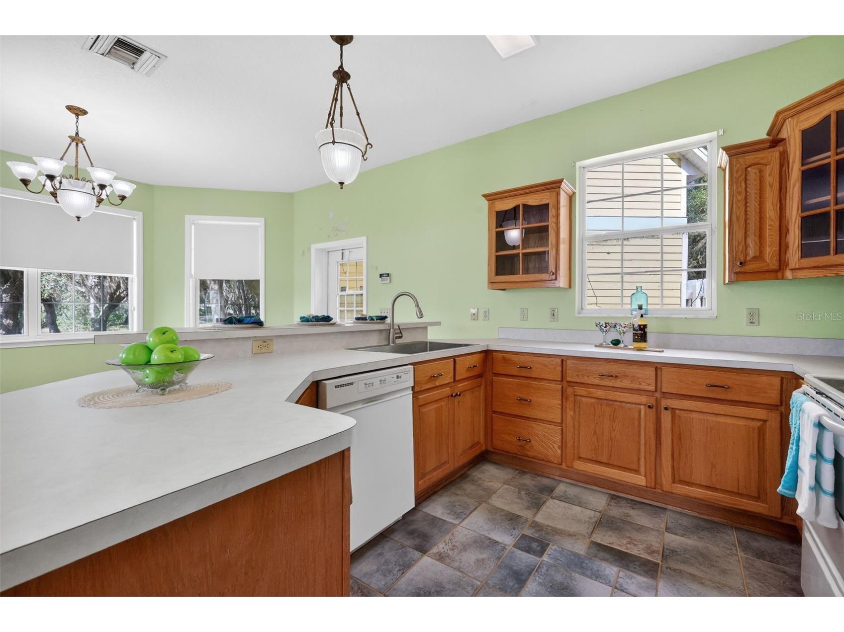 493 Malauka Loop Ocklawaha FL 32179 - LAKE LEON G5112490 image14