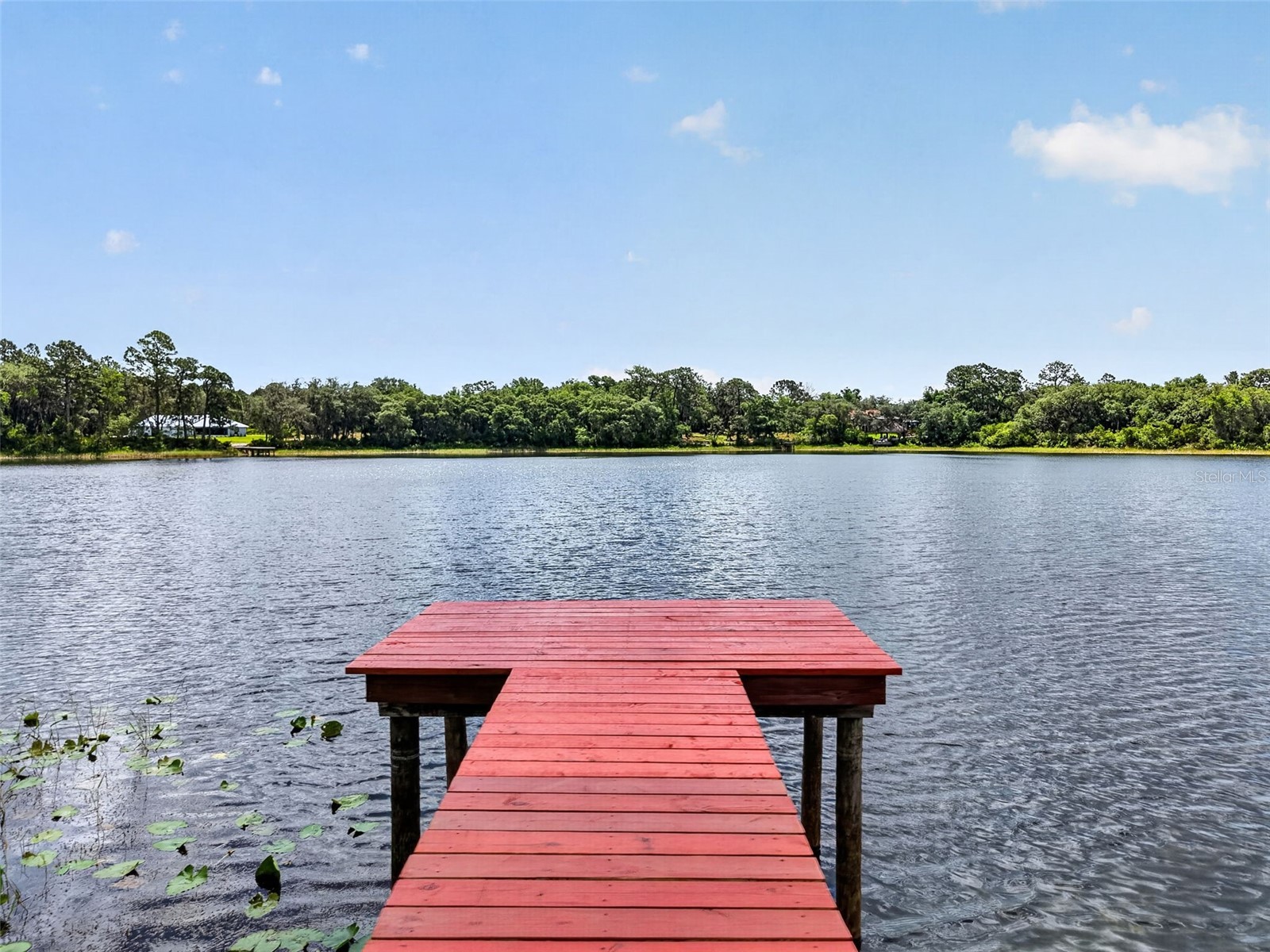 493 Malauka Loop Ocklawaha FL 32179 - LAKE LEON G5112490 image2