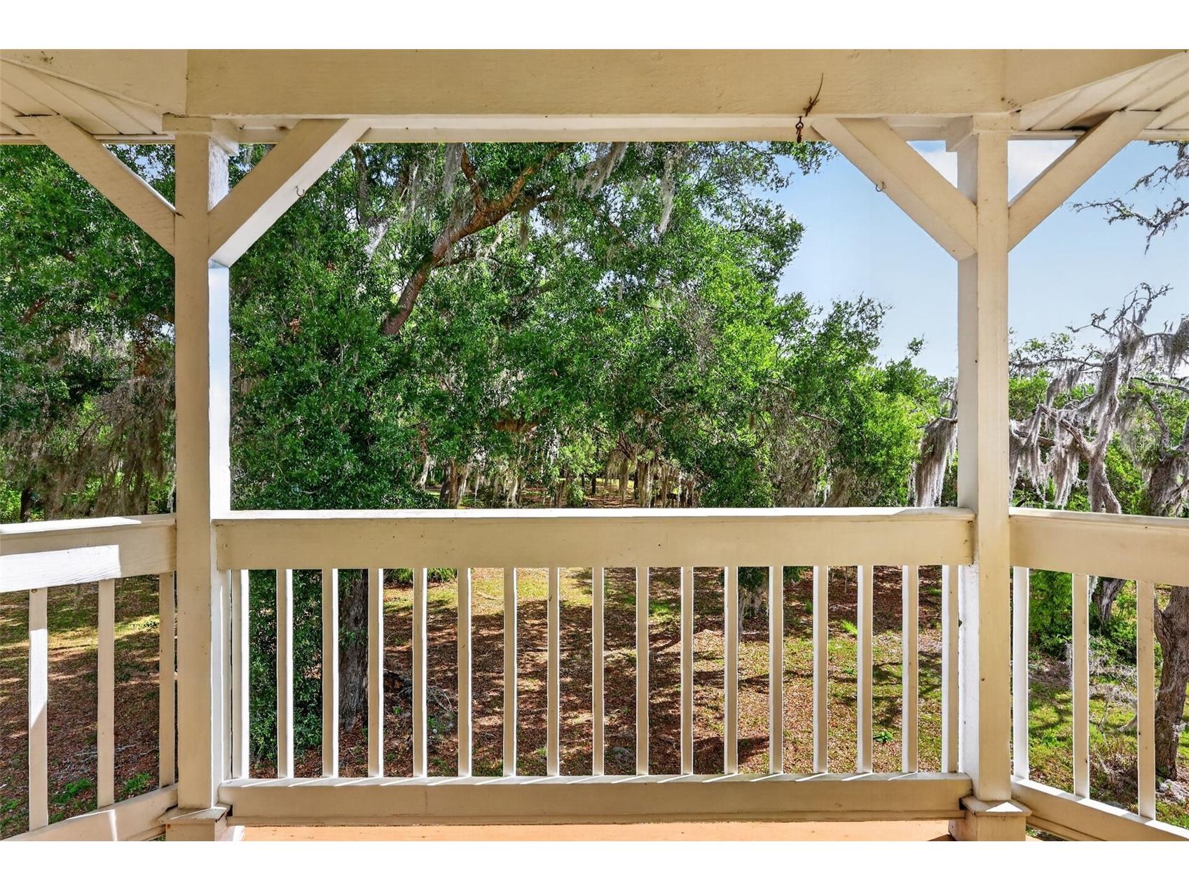 493 Malauka Loop Ocklawaha FL 32179 - LAKE LEON G5112490 image45