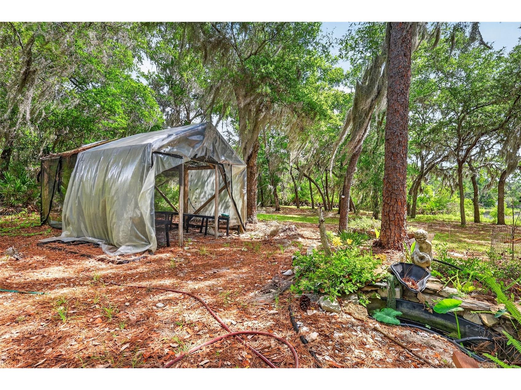493 Malauka Loop Ocklawaha FL 32179 - LAKE LEON G5112490 image51