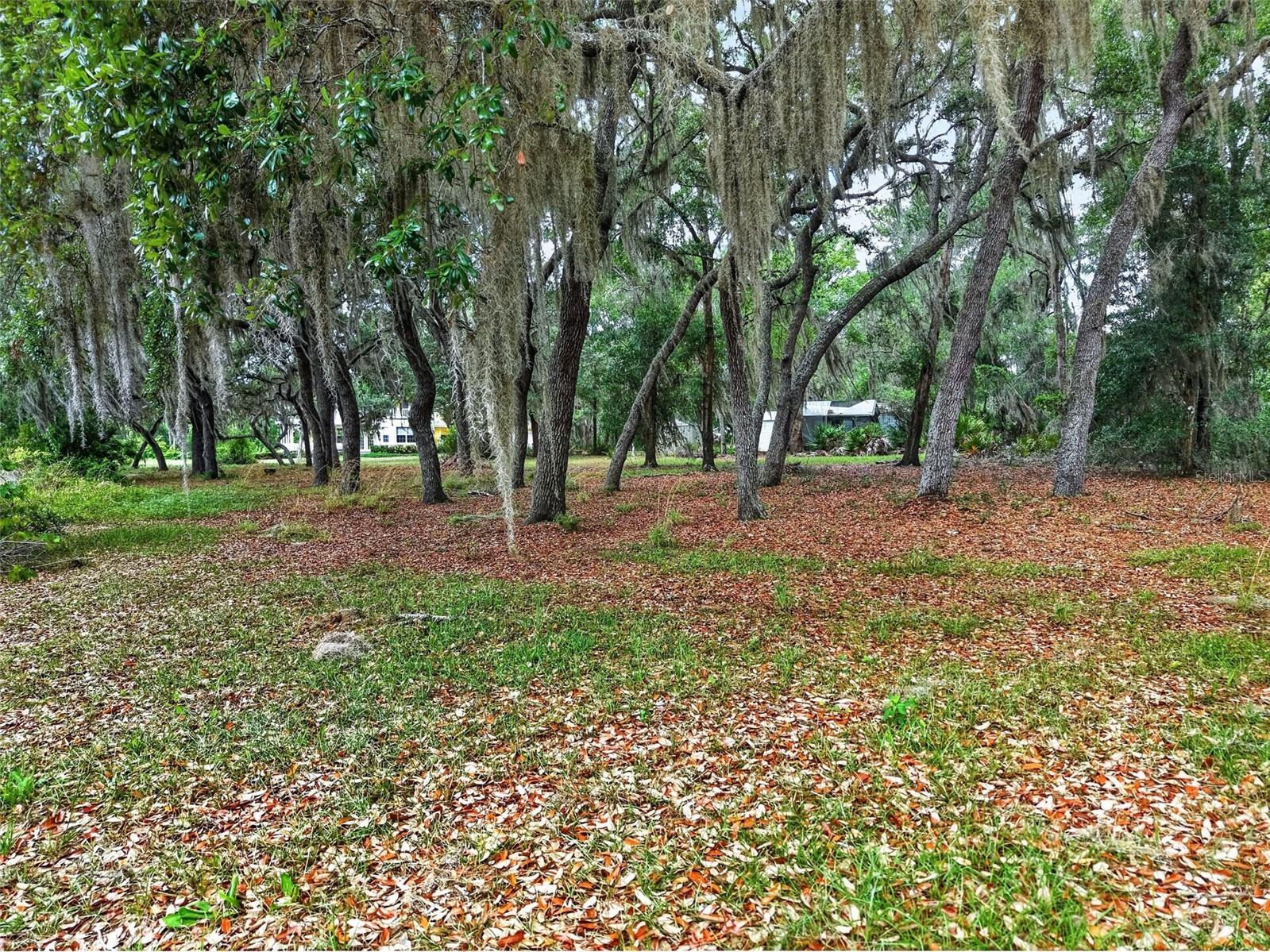 493 Malauka Loop Ocklawaha FL 32179 - LAKE LEON G5112490 image52