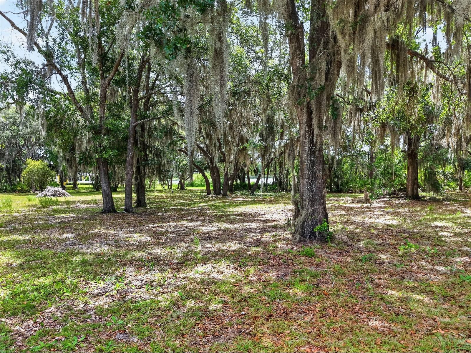 493 Malauka Loop Ocklawaha FL 32179 - LAKE LEON G5112490 image53