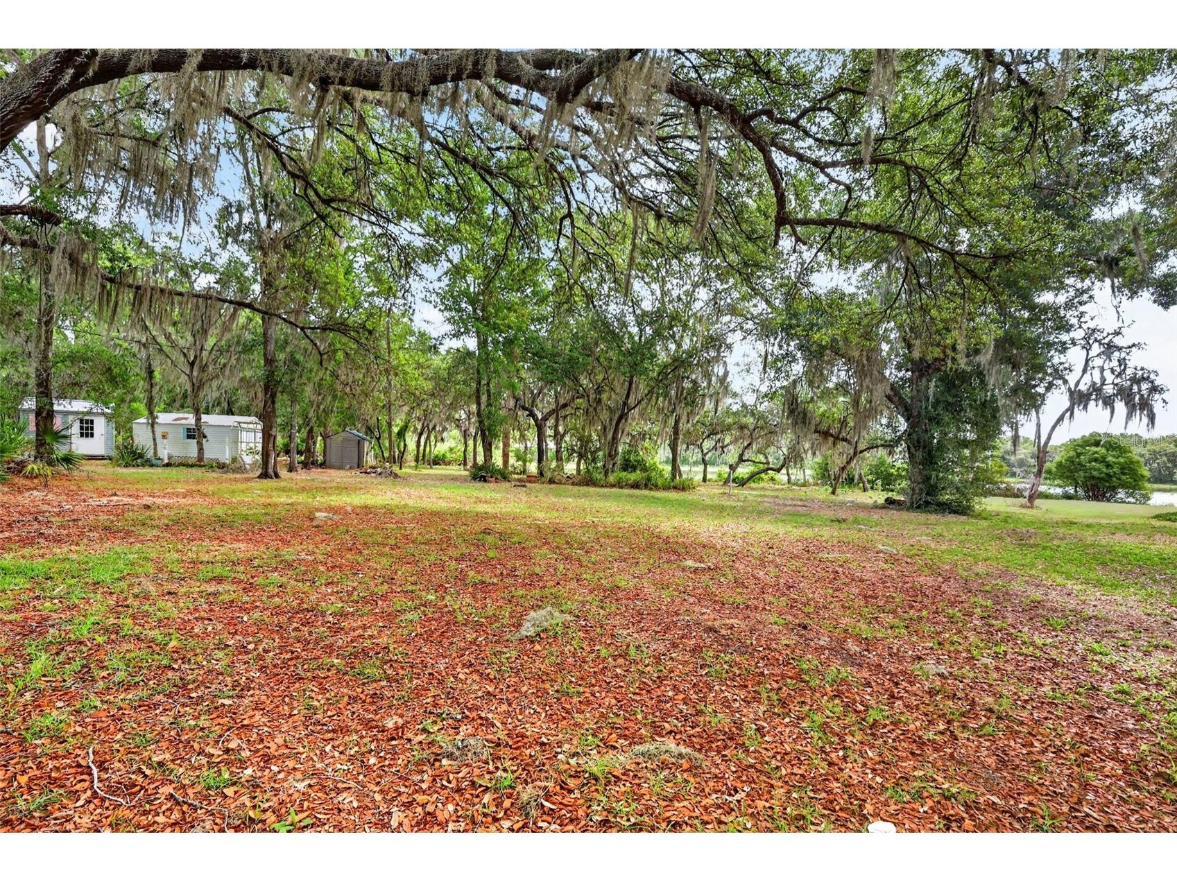 493 Malauka Loop Ocklawaha FL 32179 - LAKE LEON G5112490 image54