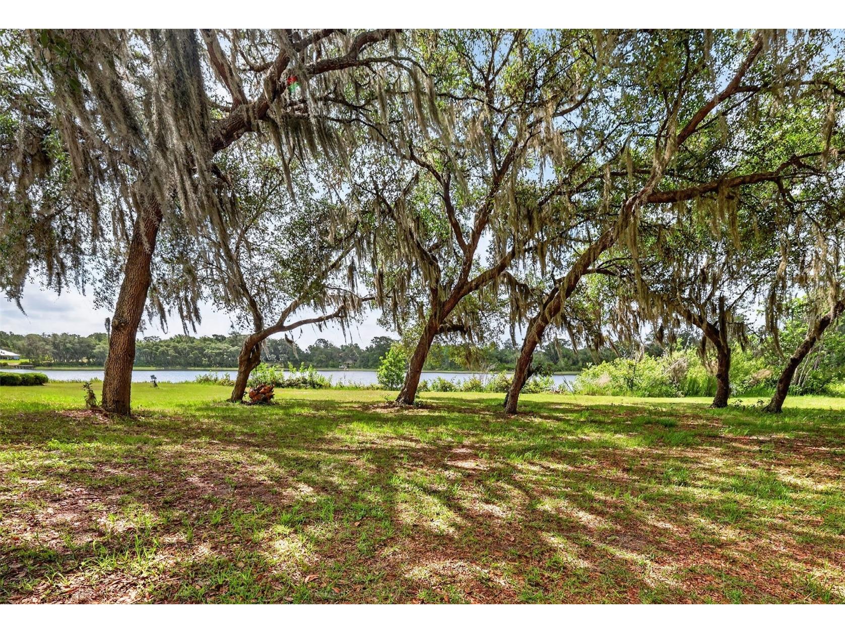 493 Malauka Loop Ocklawaha FL 32179 - LAKE LEON G5112490 image55