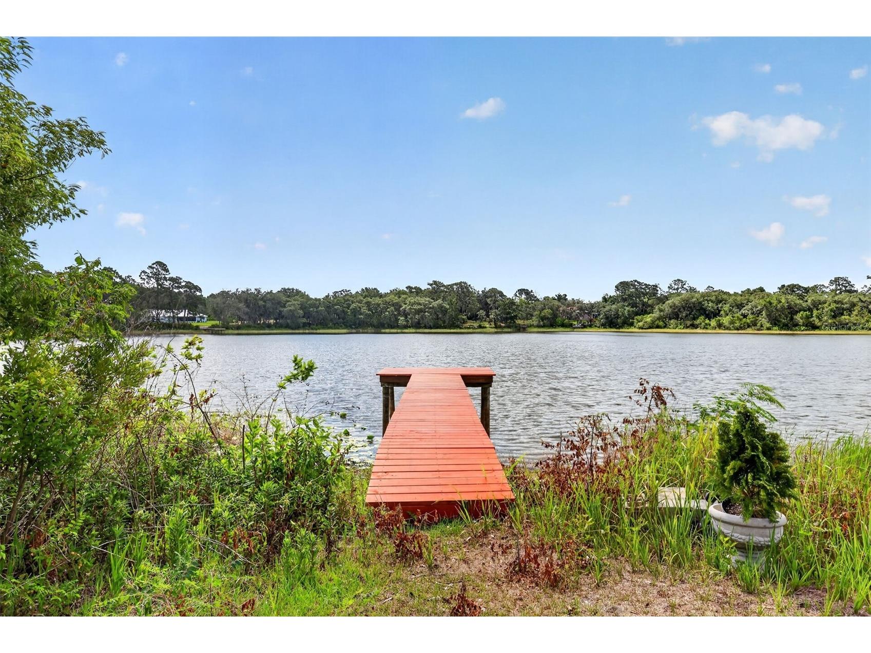 493 Malauka Loop Ocklawaha FL 32179 - LAKE LEON G5112490 image56