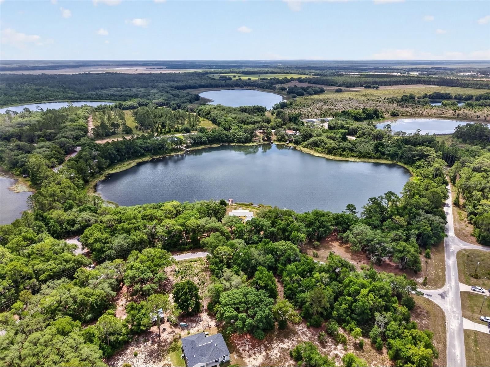 493 Malauka Loop Ocklawaha FL 32179 - LAKE LEON G5112490 image61