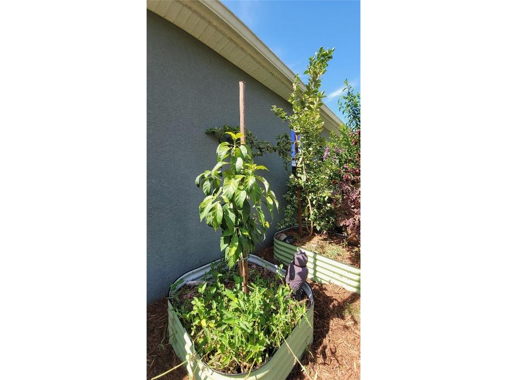 493 Nowell Loop Deland FL 32724 V4944708 image34