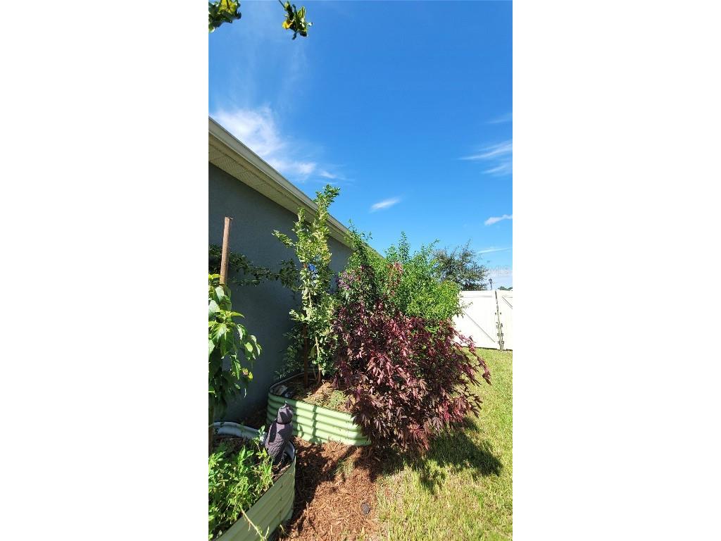 493 Nowell Loop Deland FL 32724 V4944708 image35