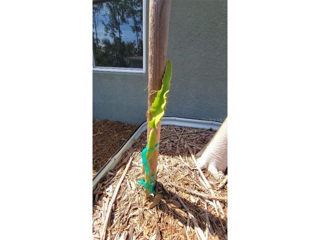 493 Nowell Loop Deland FL 32724 V4944708 image38