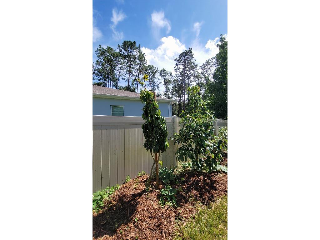 493 Nowell Loop Deland FL 32724 V4944708 image39