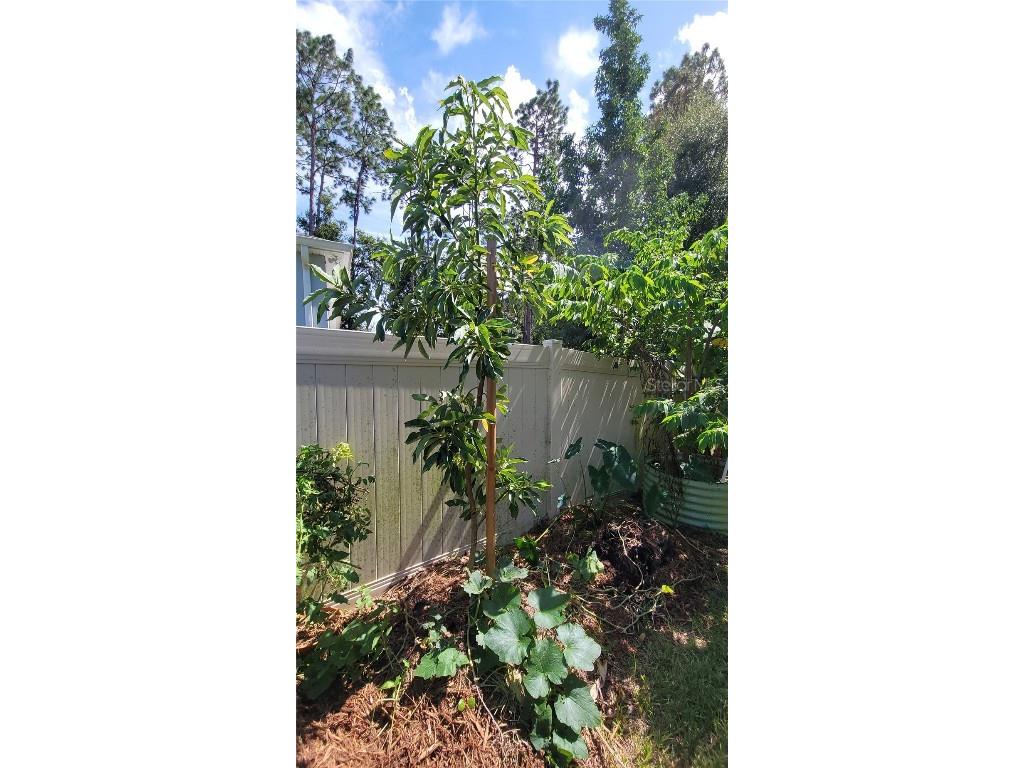 493 Nowell Loop Deland FL 32724 V4944708 image40