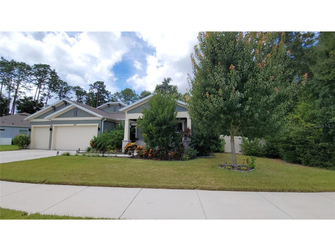 493 Nowell Loop Deland FL 32724 V4944708 image49