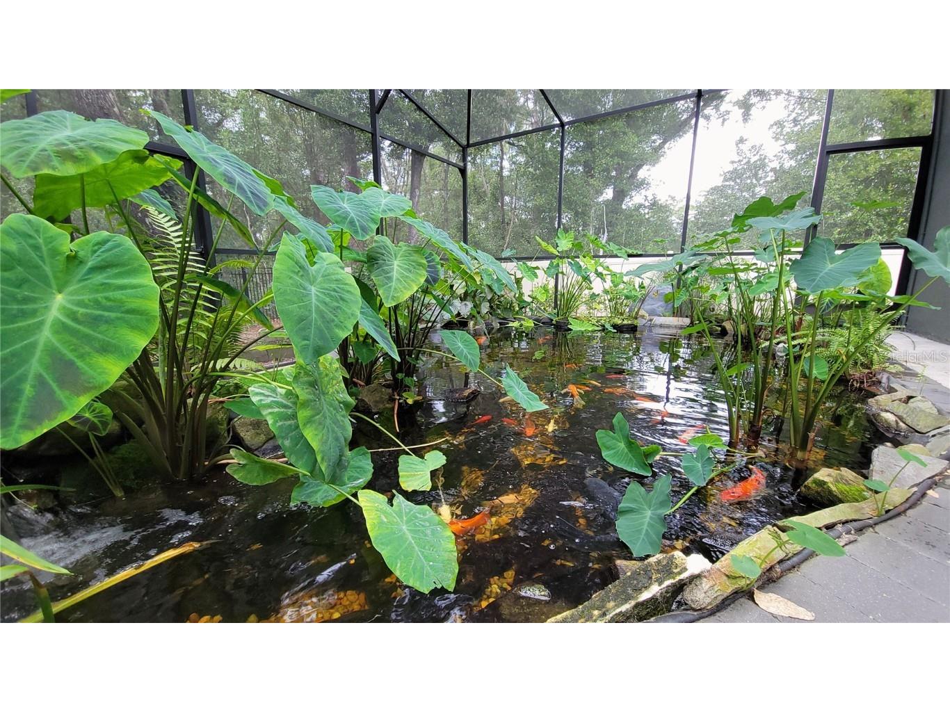 493 Nowell Loop Deland FL 32724 V4944708 image8