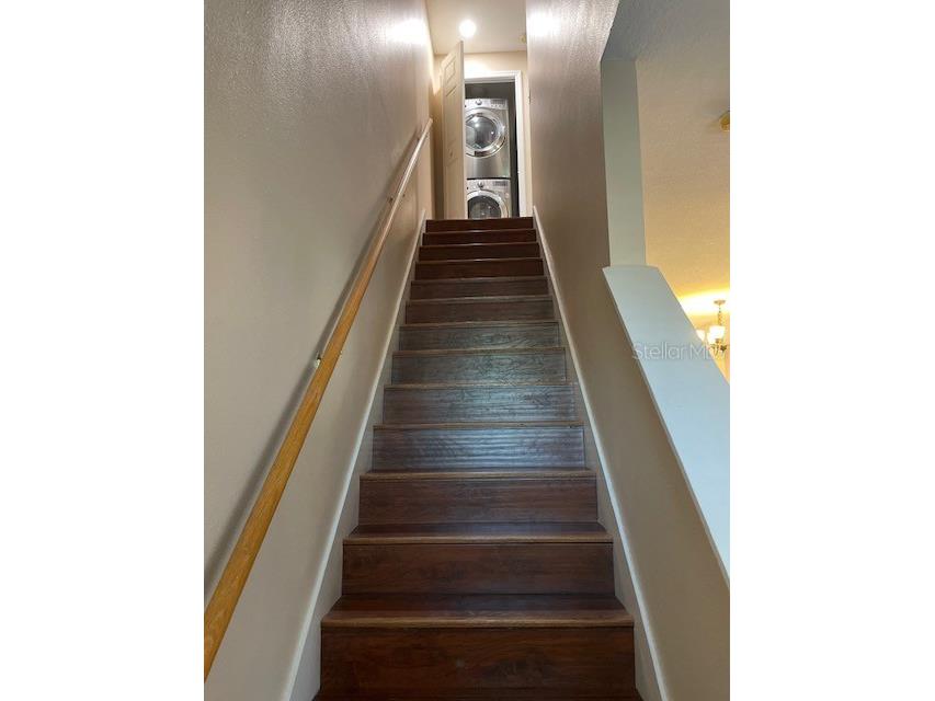 4930 Elizabeth Anne Circle Tampa FL 33616 TB8435217 image16