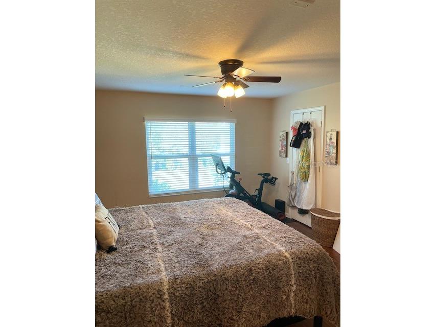 4930 Elizabeth Anne Circle Tampa FL 33616 TB8435217 image20