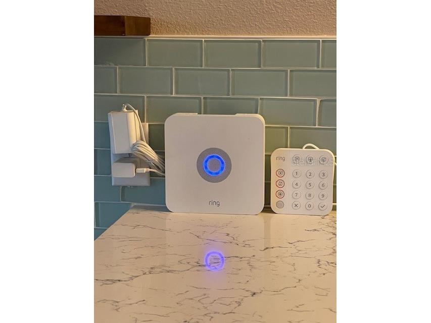 4930 Elizabeth Anne Circle Tampa FL 33616 TB8435217 image28