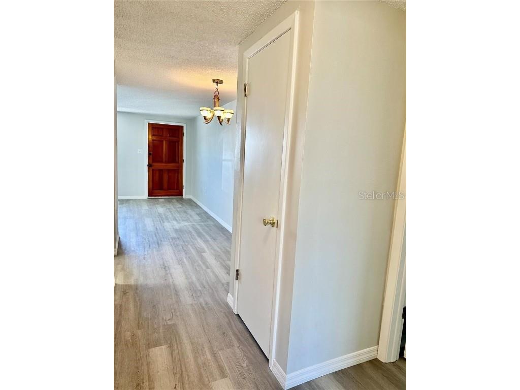 4930 Getner Street New Port Richey FL 34652 W7880728 image4