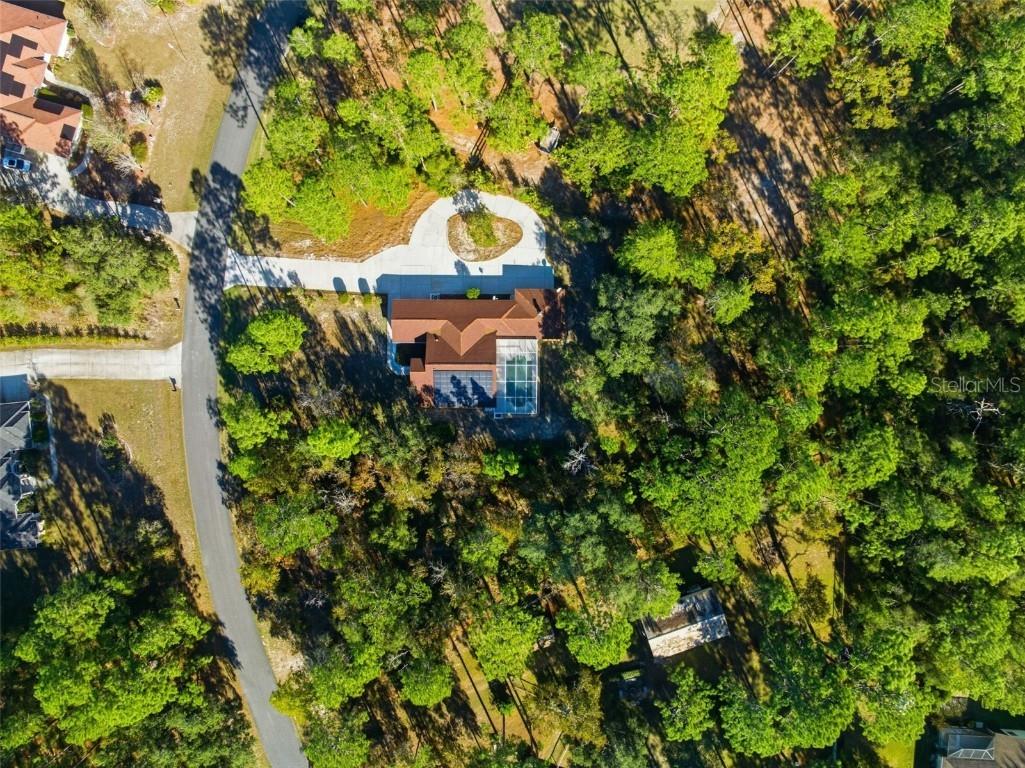 4930 W Pinto Loop Beverly Hills FL 34465 W7881138 image48