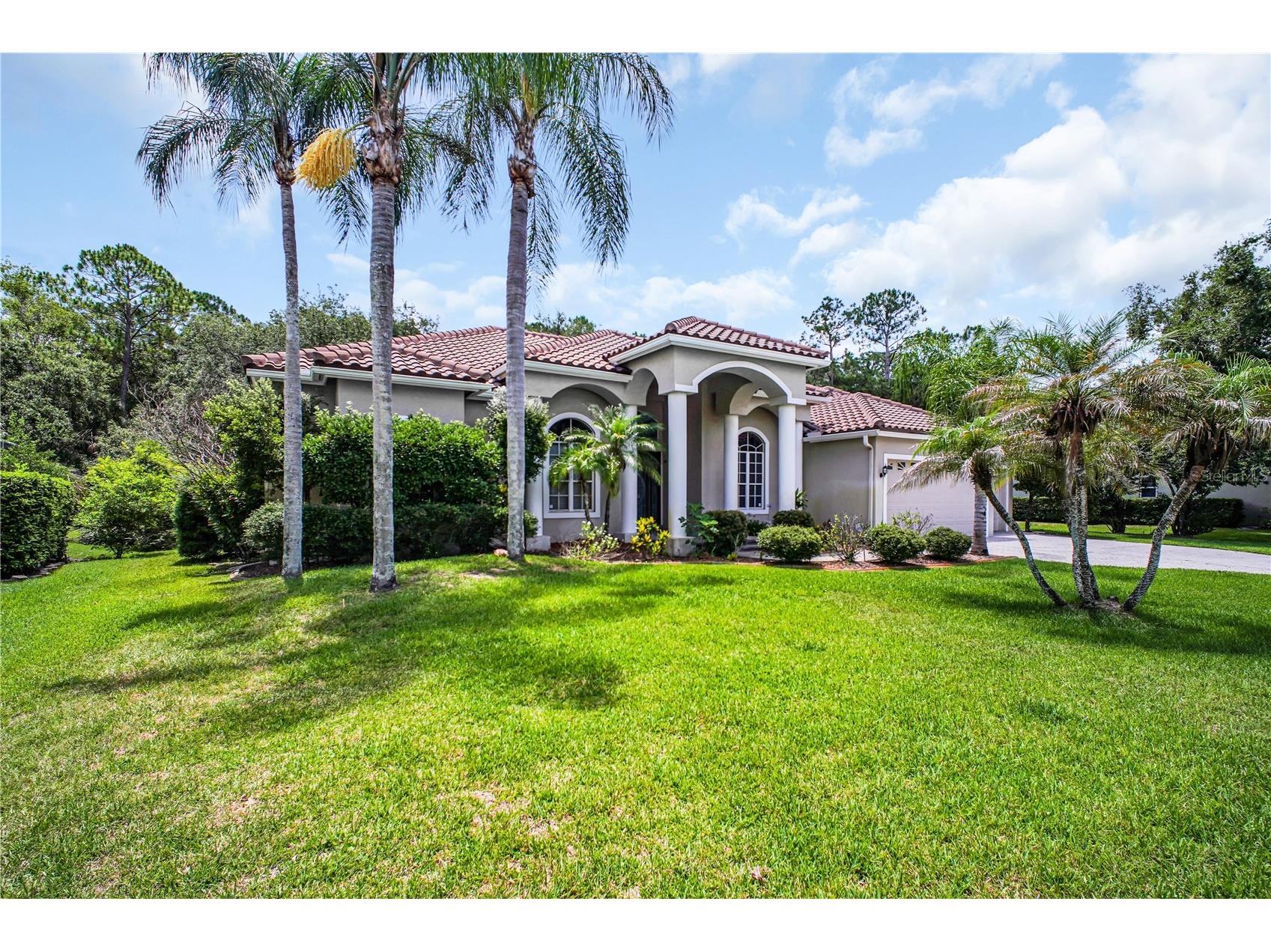 4931 Turtle Creek Trail Oldsmar FL 34677 TB8518188 image3