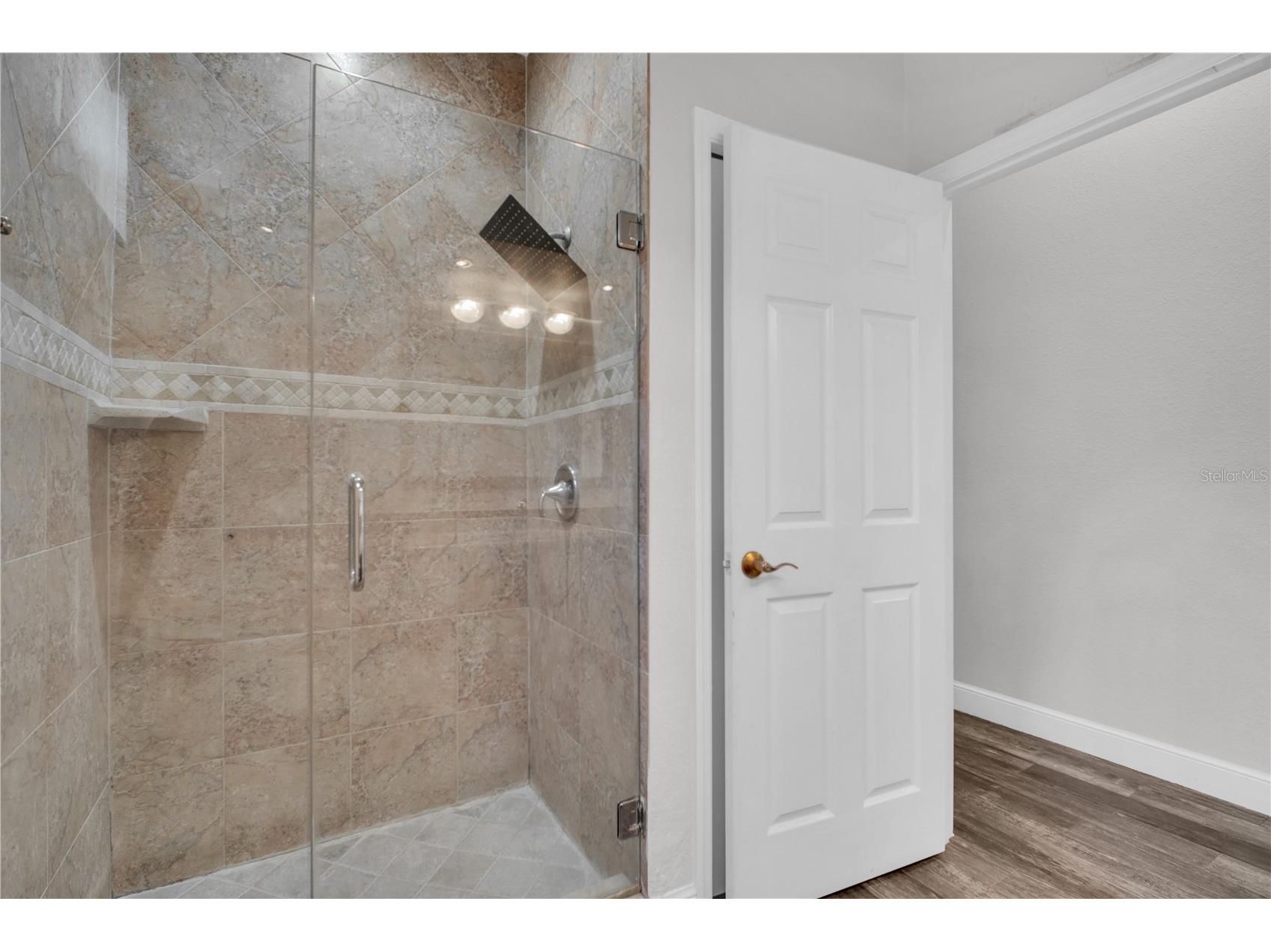4931 Turtle Creek Trail Oldsmar FL 34677 TB8518188 image51