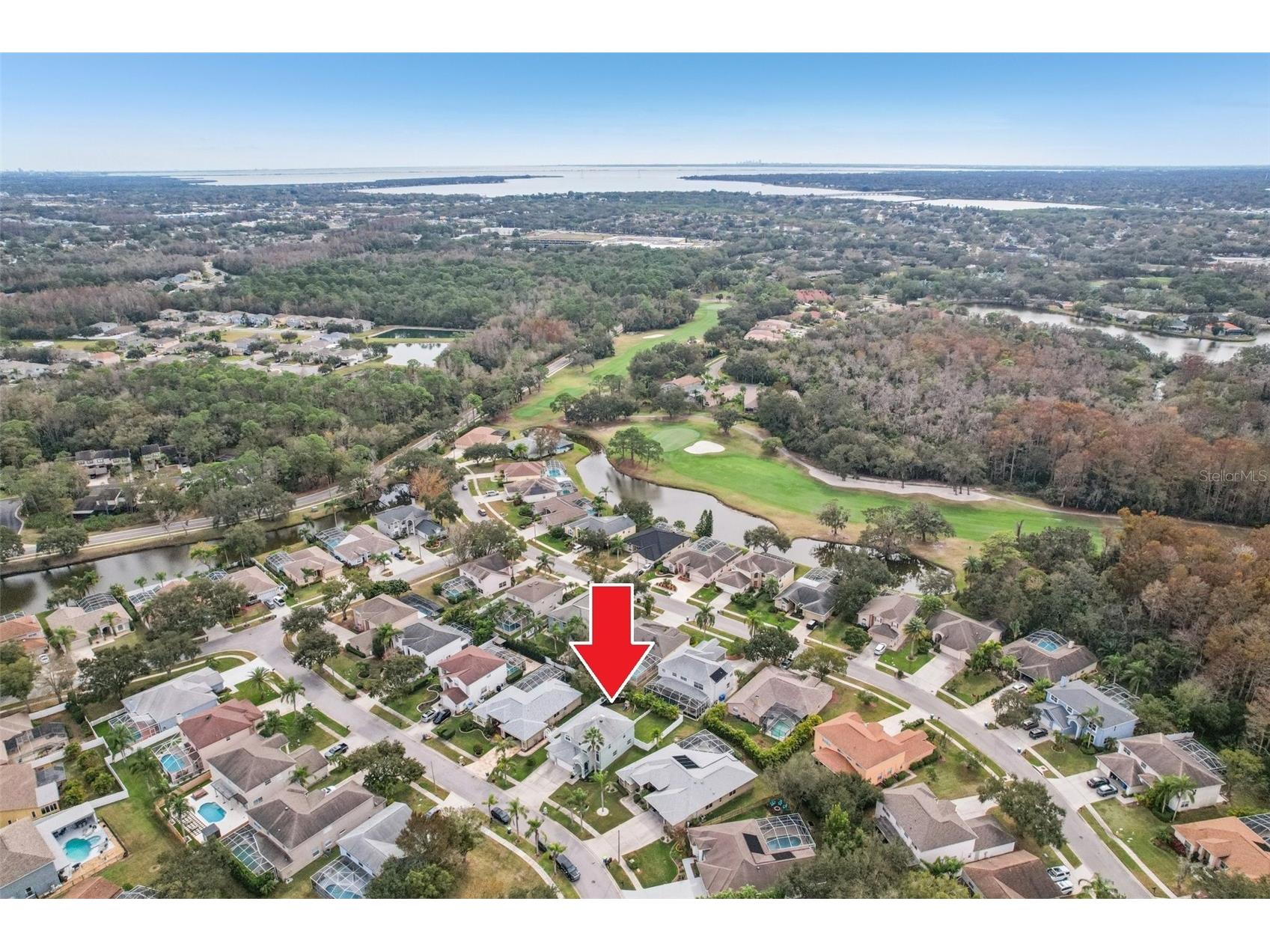 4932 Dunnwoody Place Oldsmar FL 34677 TB8464921 image28