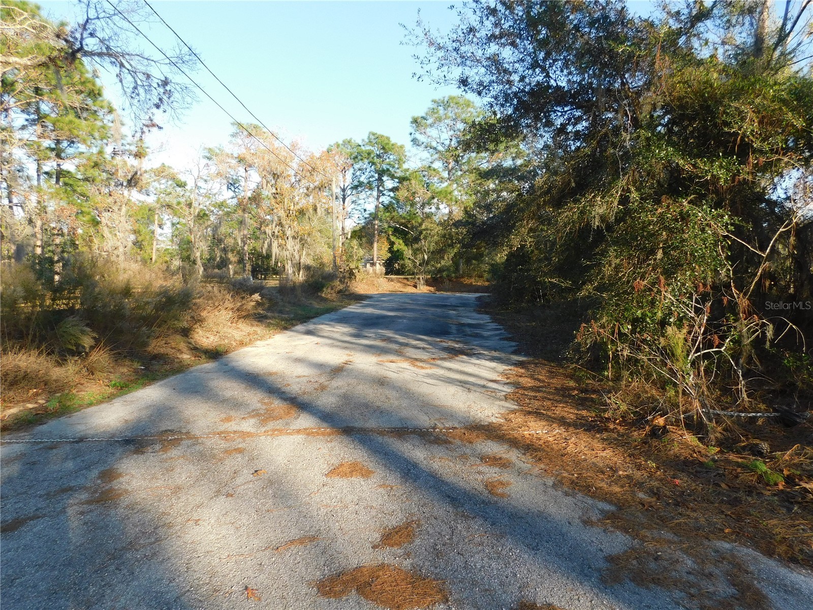 4932 E Eliza Court Inverness FL 34452 TB8467423 image1