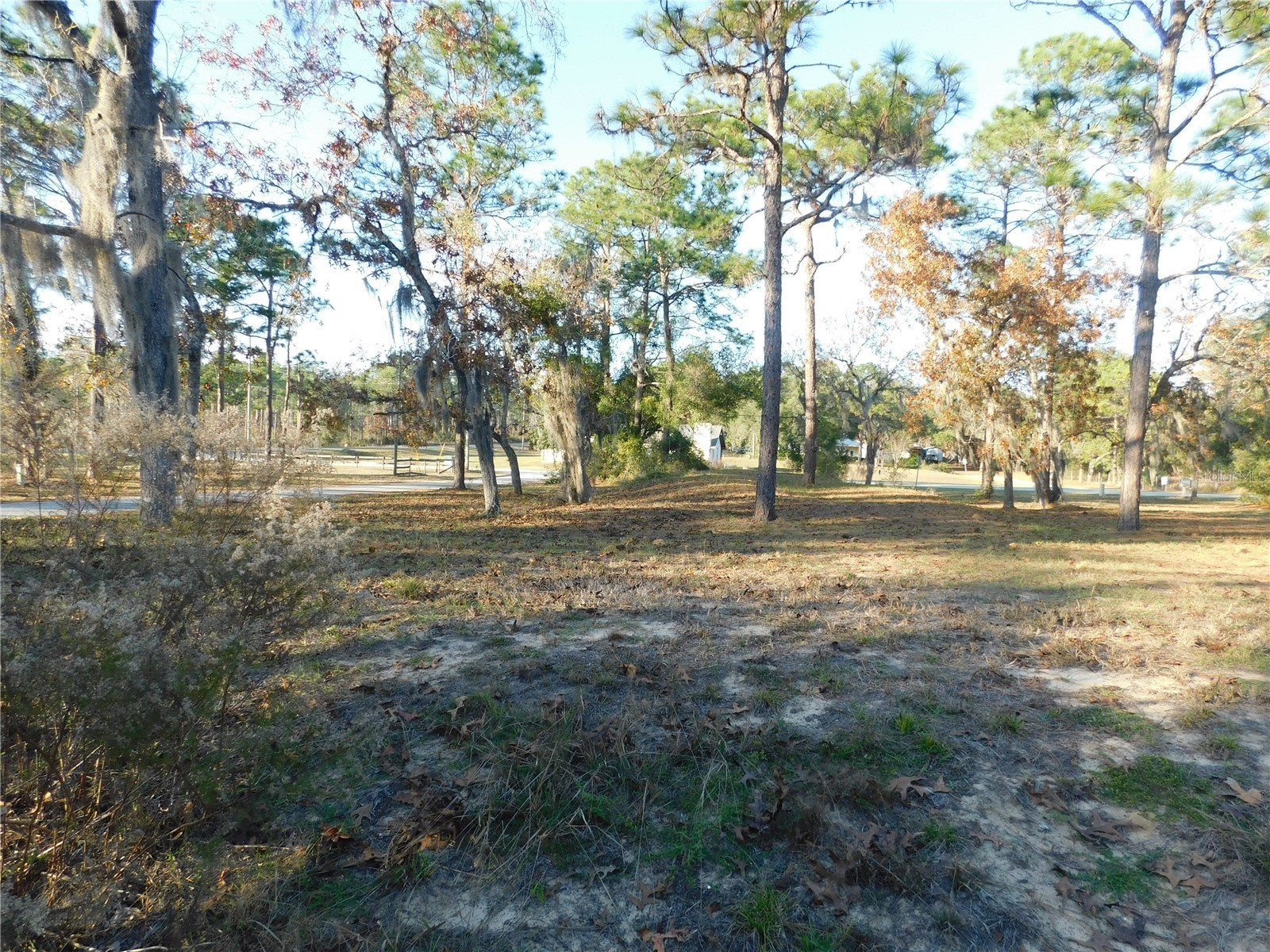 4932 E Eliza Court Inverness FL 34452 TB8467423 image10