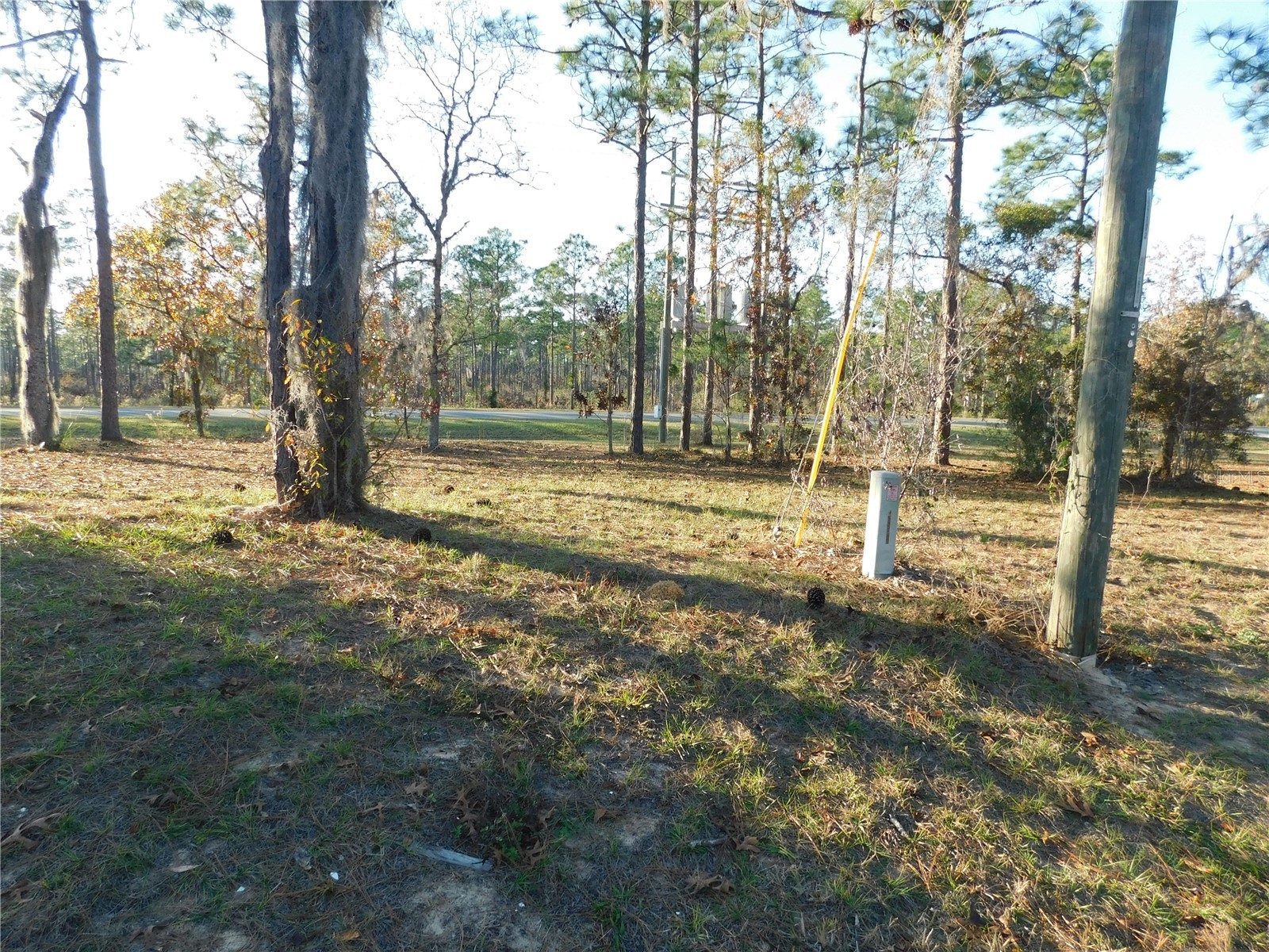 4932 E Eliza Court Inverness FL 34452 TB8467423 image11