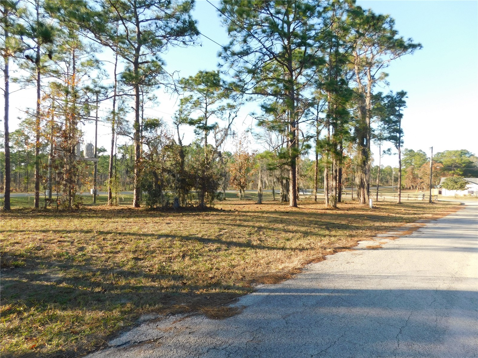 4932 E Eliza Court Inverness FL 34452 TB8467423 image2