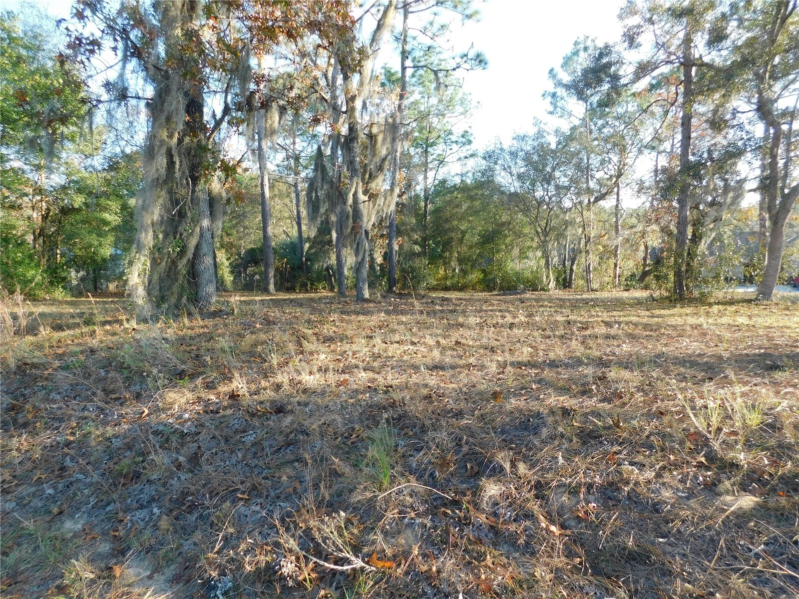 4932 E Eliza Court Inverness FL 34452 TB8467423 image3