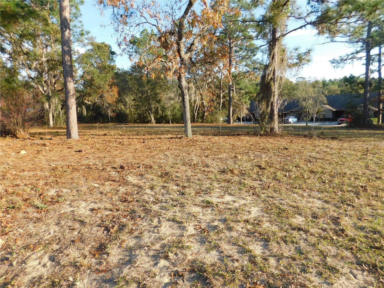 4932 E Eliza Court Inverness FL 34452 TB8467423 image4