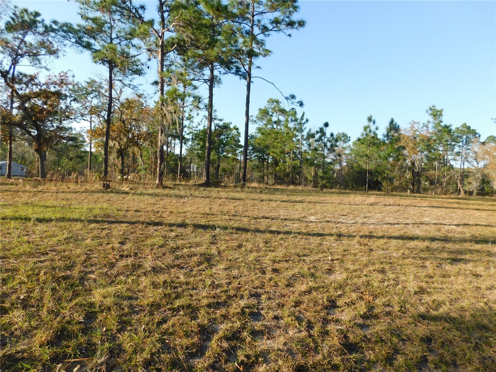 4932 E Eliza Court Inverness FL 34452 TB8467423 image6