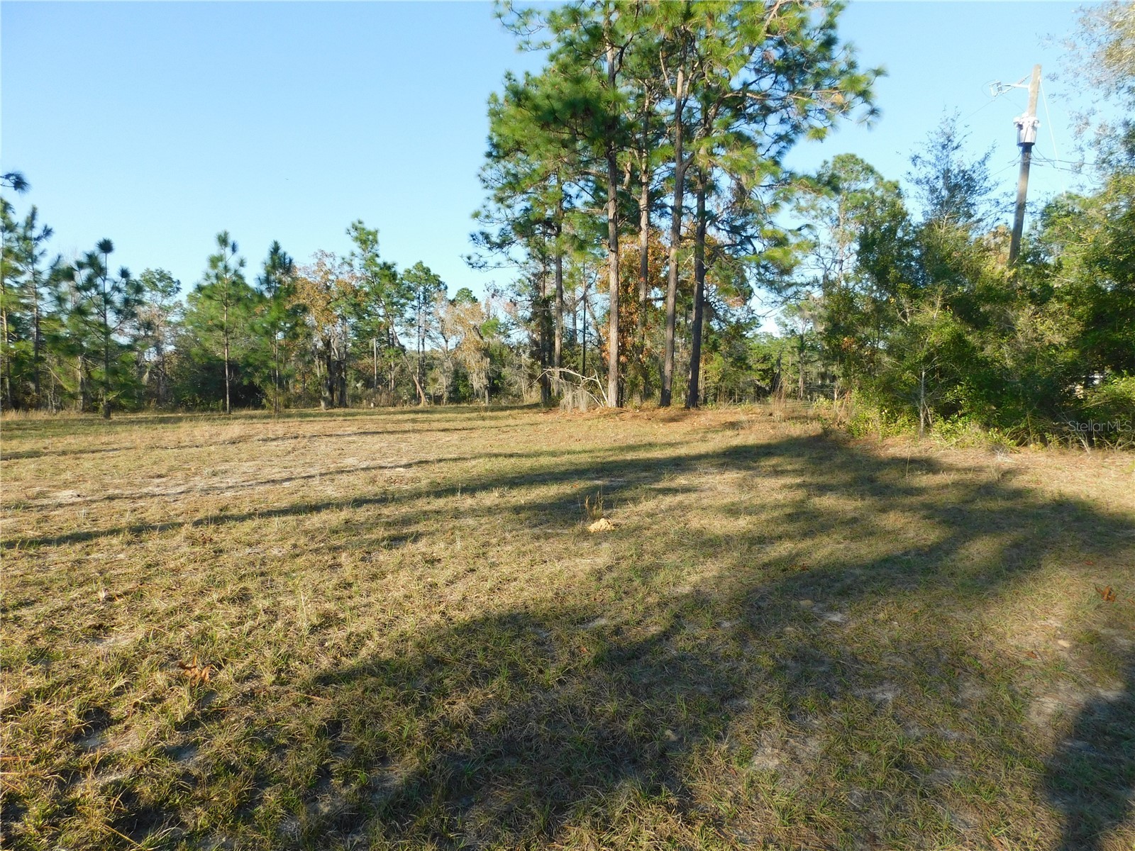 4932 E Eliza Court Inverness FL 34452 TB8467423 image7
