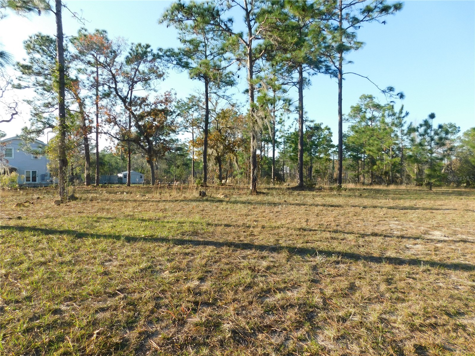 4932 E Eliza Court Inverness FL 34452 TB8467423 image8