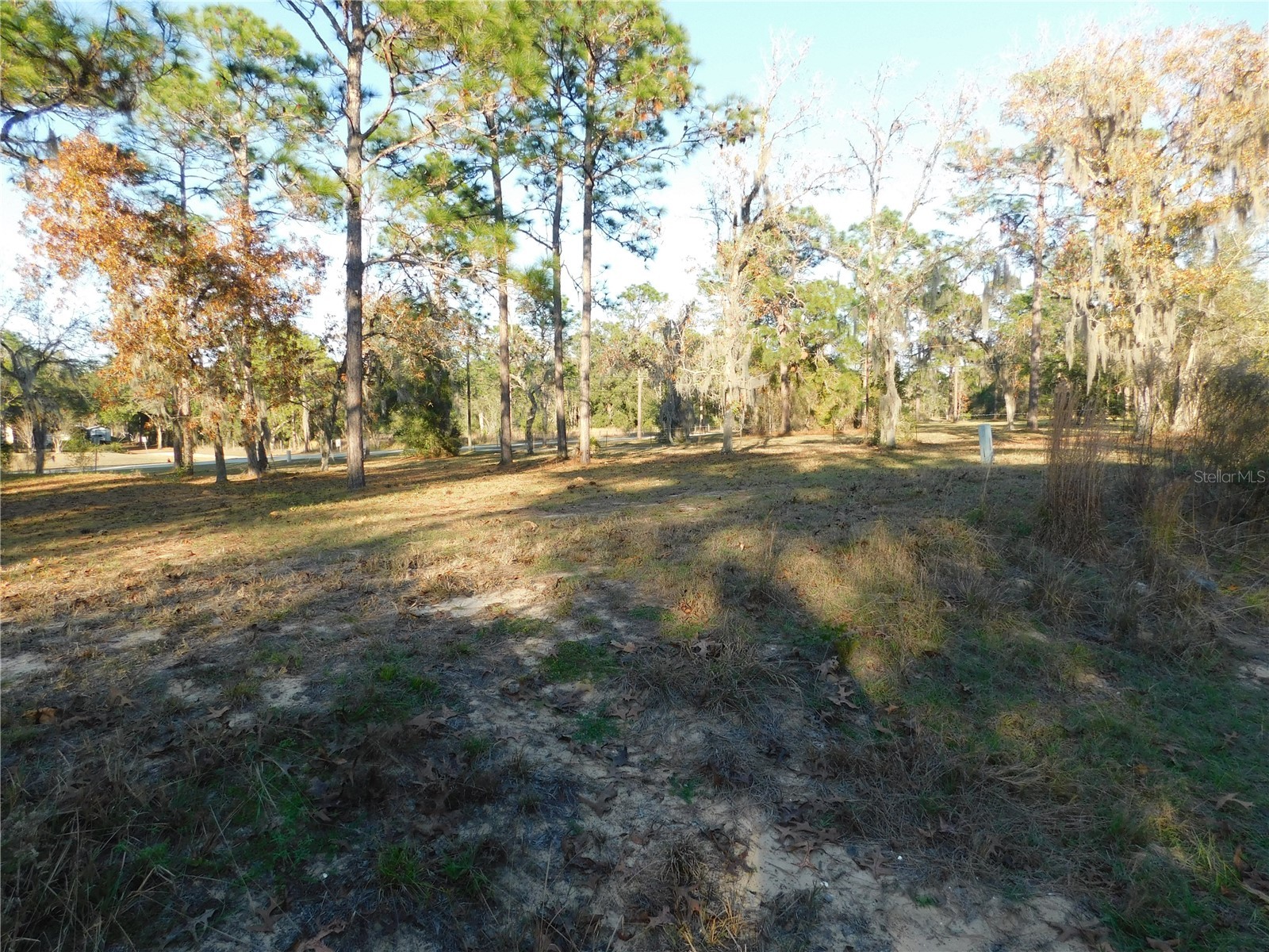 4932 E Eliza Court Inverness FL 34452 TB8467423 image9