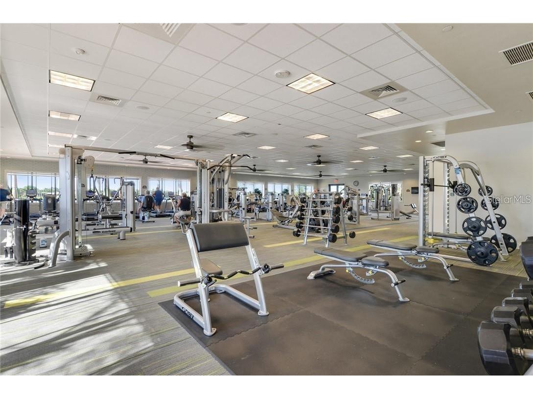 4932 Marble Springs Circle Wimauma FL 33598 TB8481818 image38