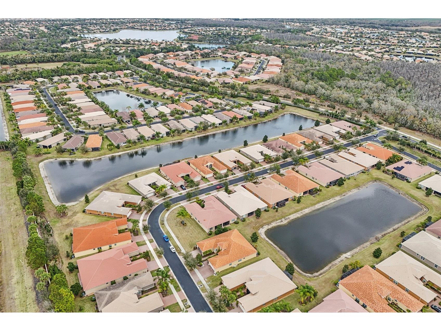 4932 Marble Springs Circle Wimauma FL 33598 TB8481818 image44