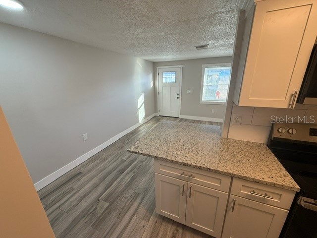 4933 Elkner Street New Port Richey FL 34652 W7886699 image3