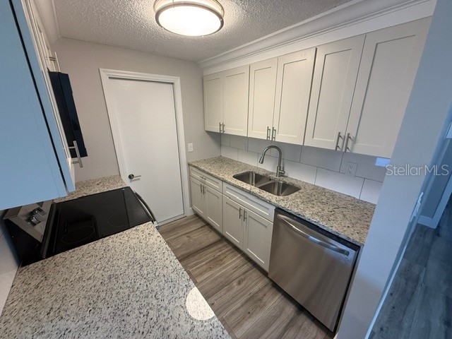 4933 Elkner Street New Port Richey FL 34652 W7886699 image6