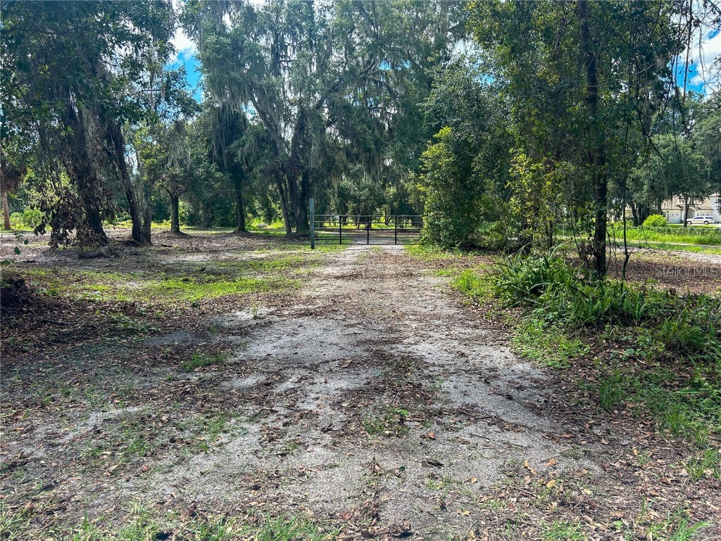 4933 Miley Road Plant City FL 33565 P4931813 image1