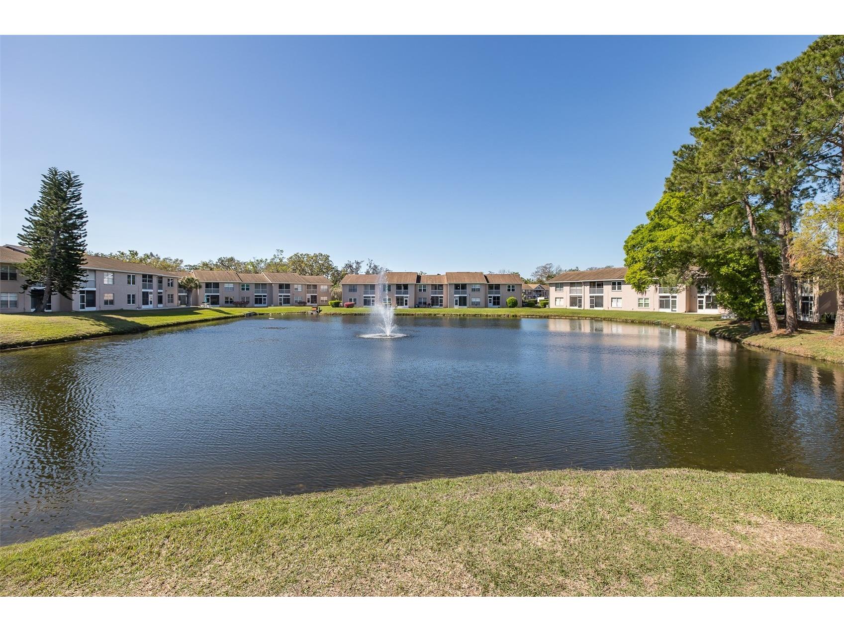 4933 Myrtle Oak Drive #23 New Port Richey FL 34653 W7883959 image36