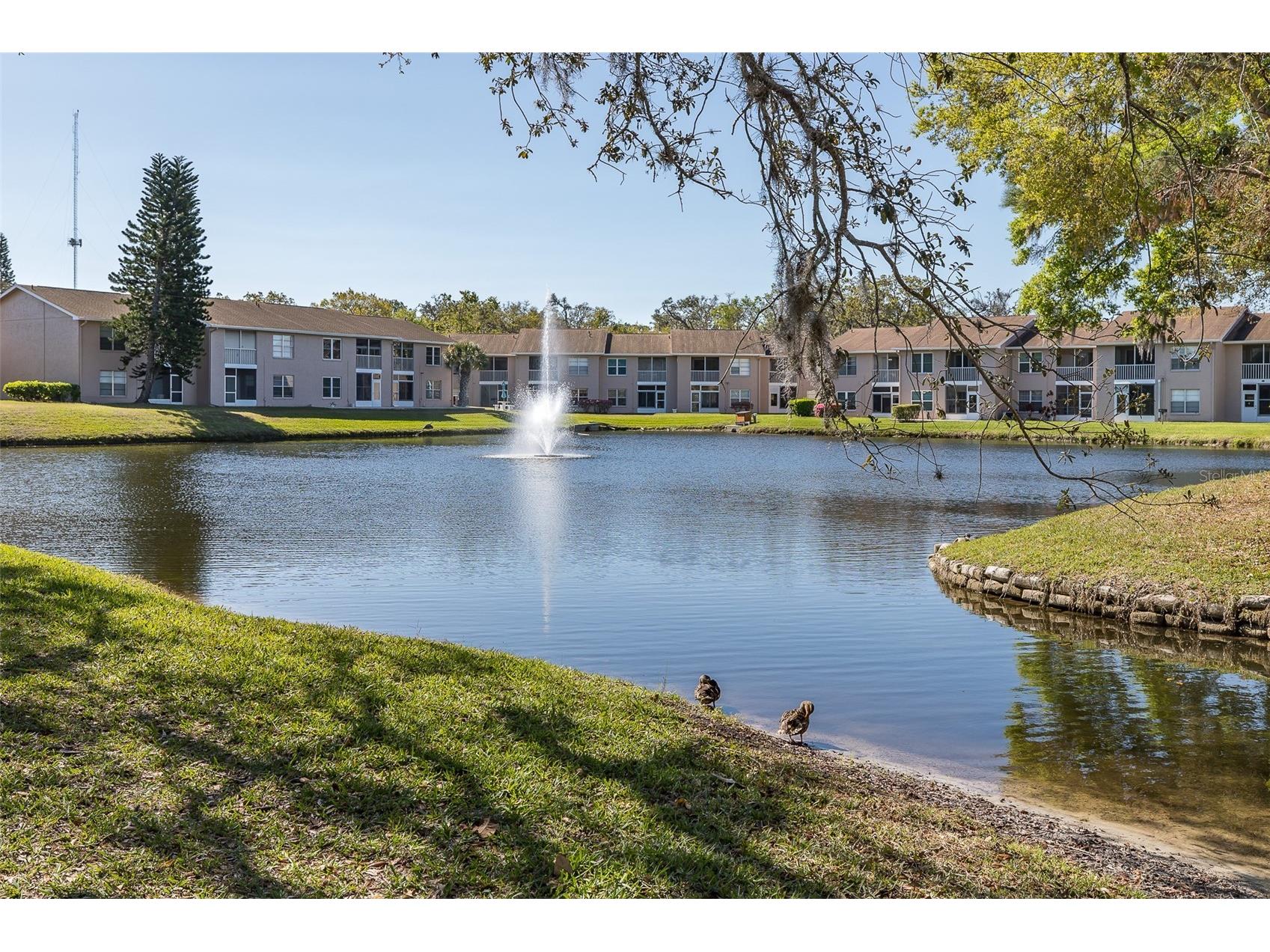 4933 Myrtle Oak Drive #23 New Port Richey FL 34653 W7883959 image38