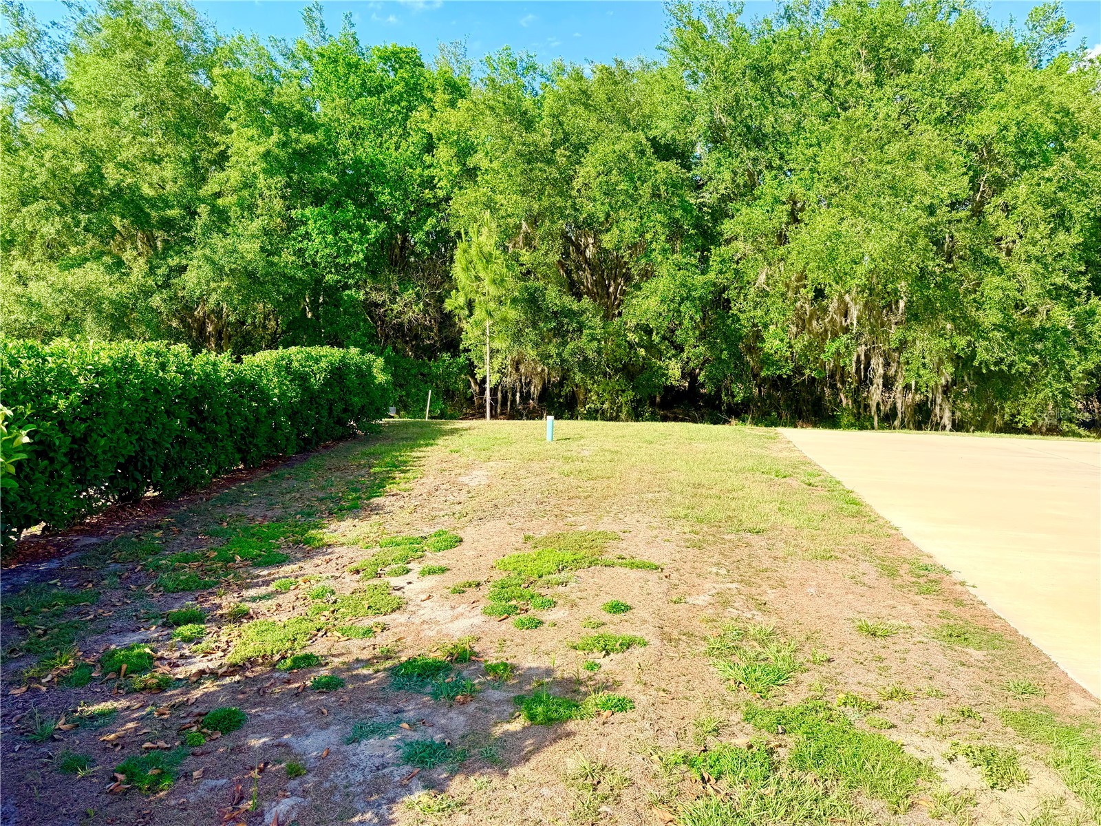 4933 SE 92nd Boulevard Webster FL 33597 G5112027 image4