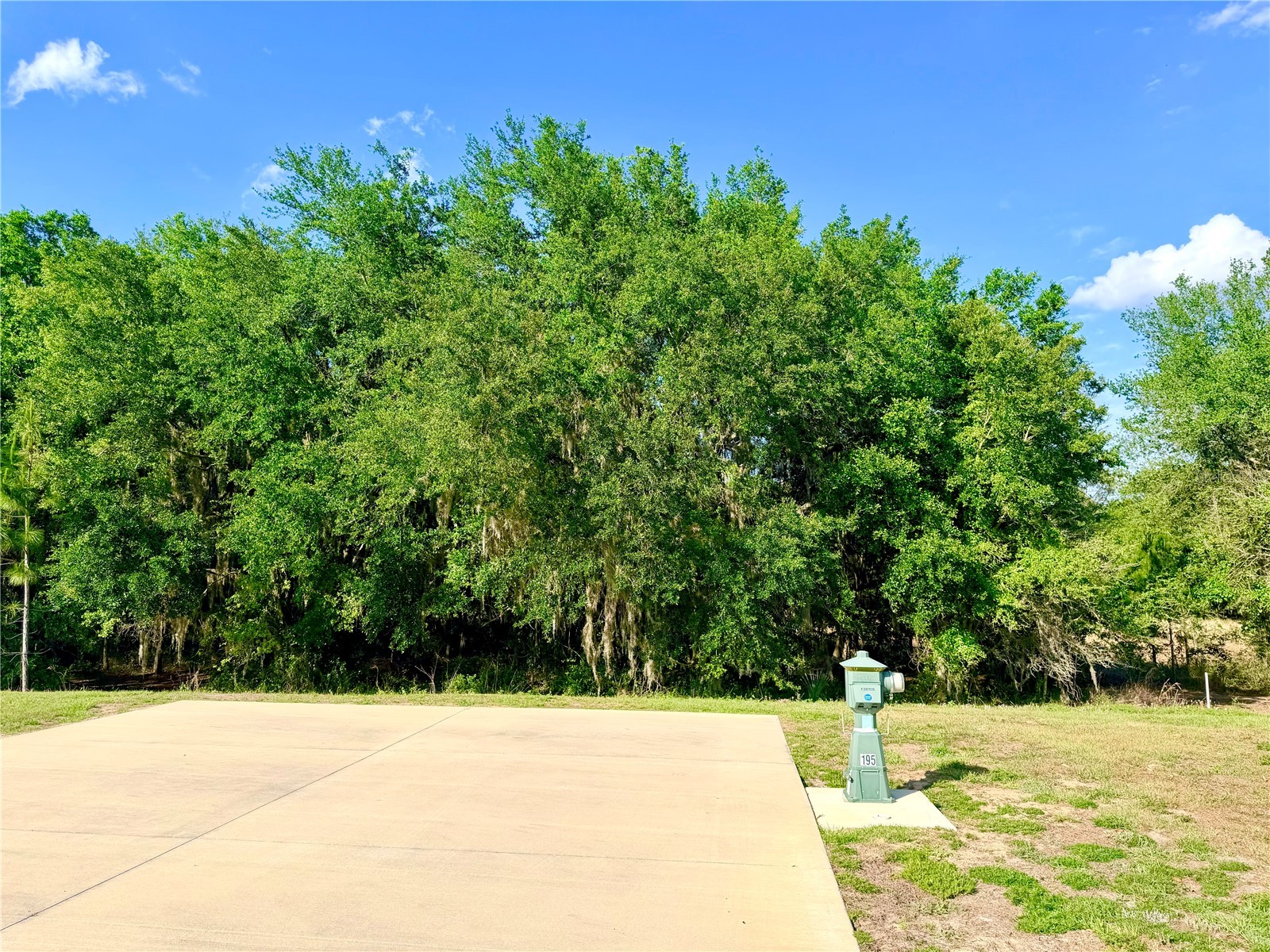 4933 SE 92nd Boulevard Webster FL 33597 G5112027 image5