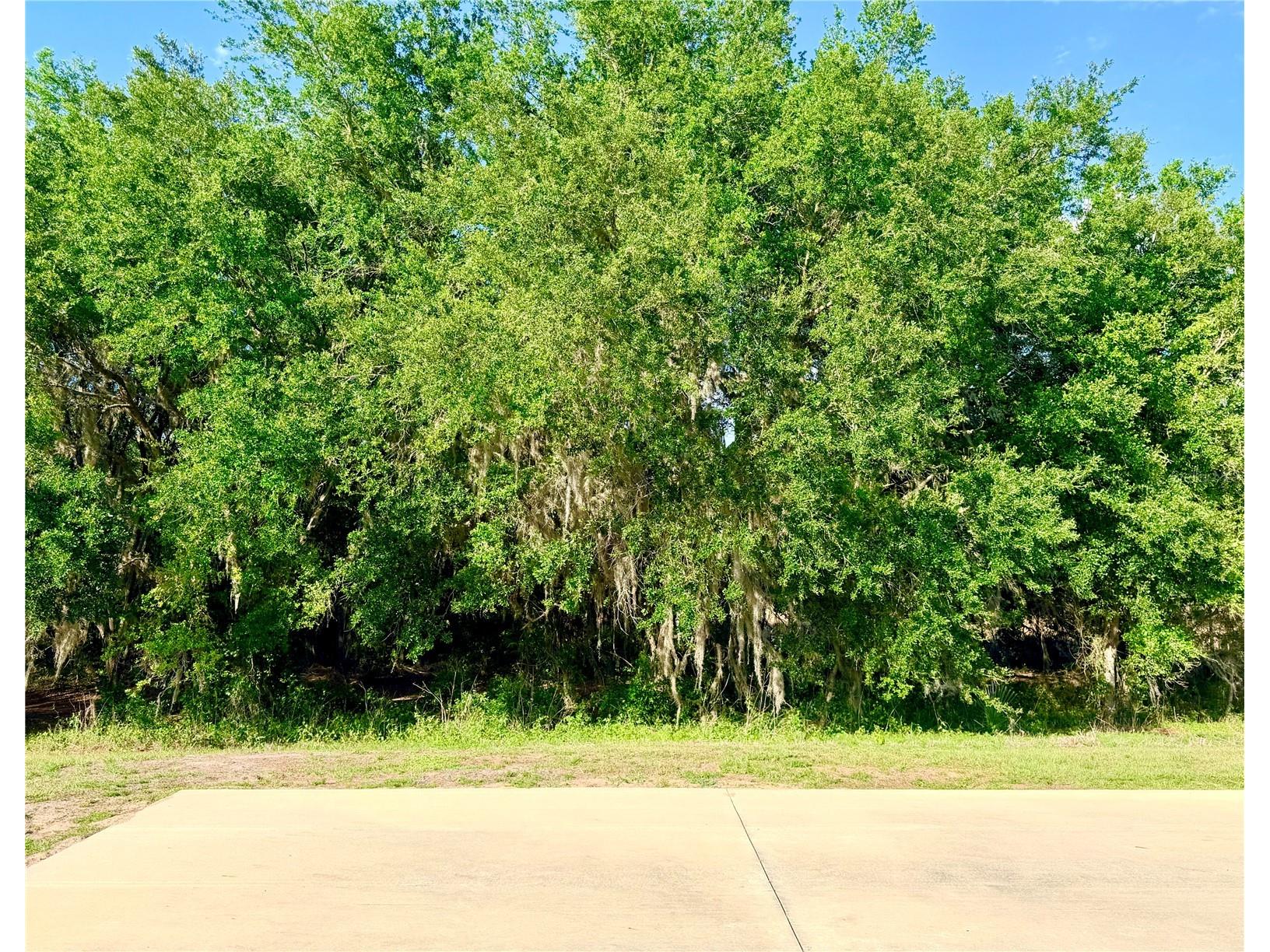 4933 SE 92nd Boulevard Webster FL 33597 G5112027 image6